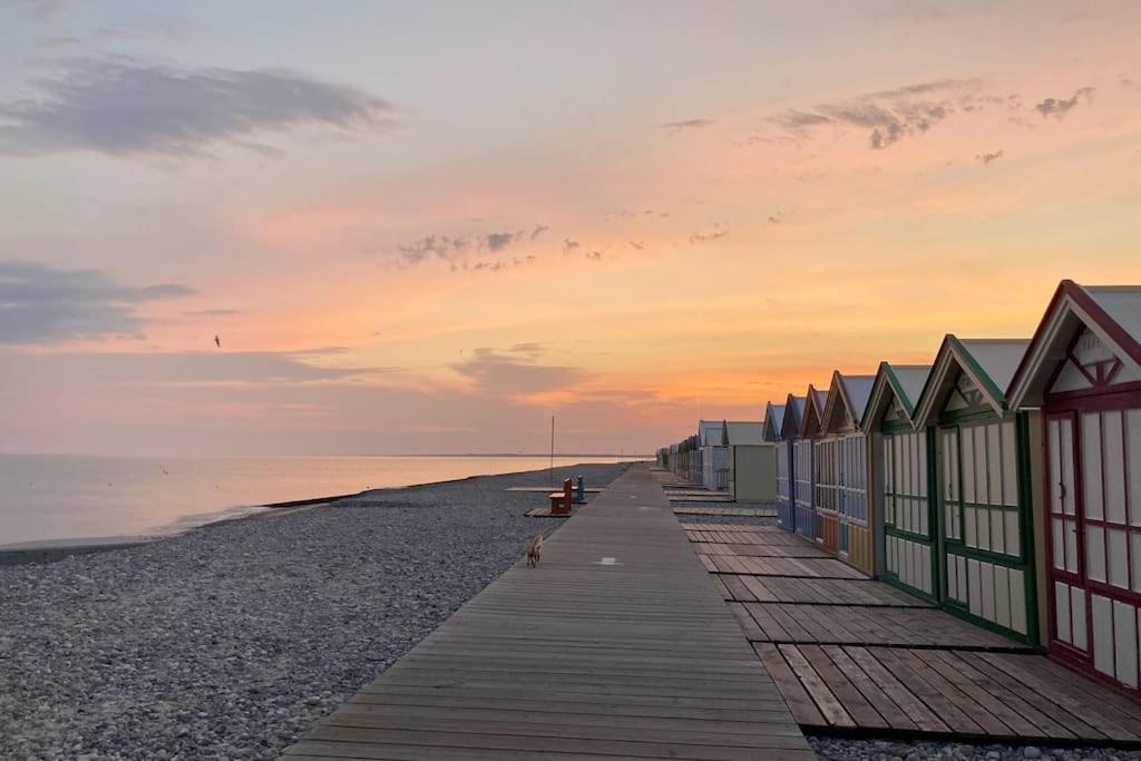 La Petite Boutique Rouge Lägenhet Cayeux-sur-Mer Exteriör bild